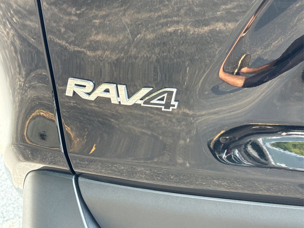 2025 Toyota RAV4 XLE photo 13
