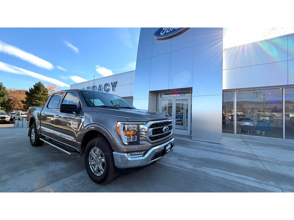 2023 Ford F-150 XLT's photo