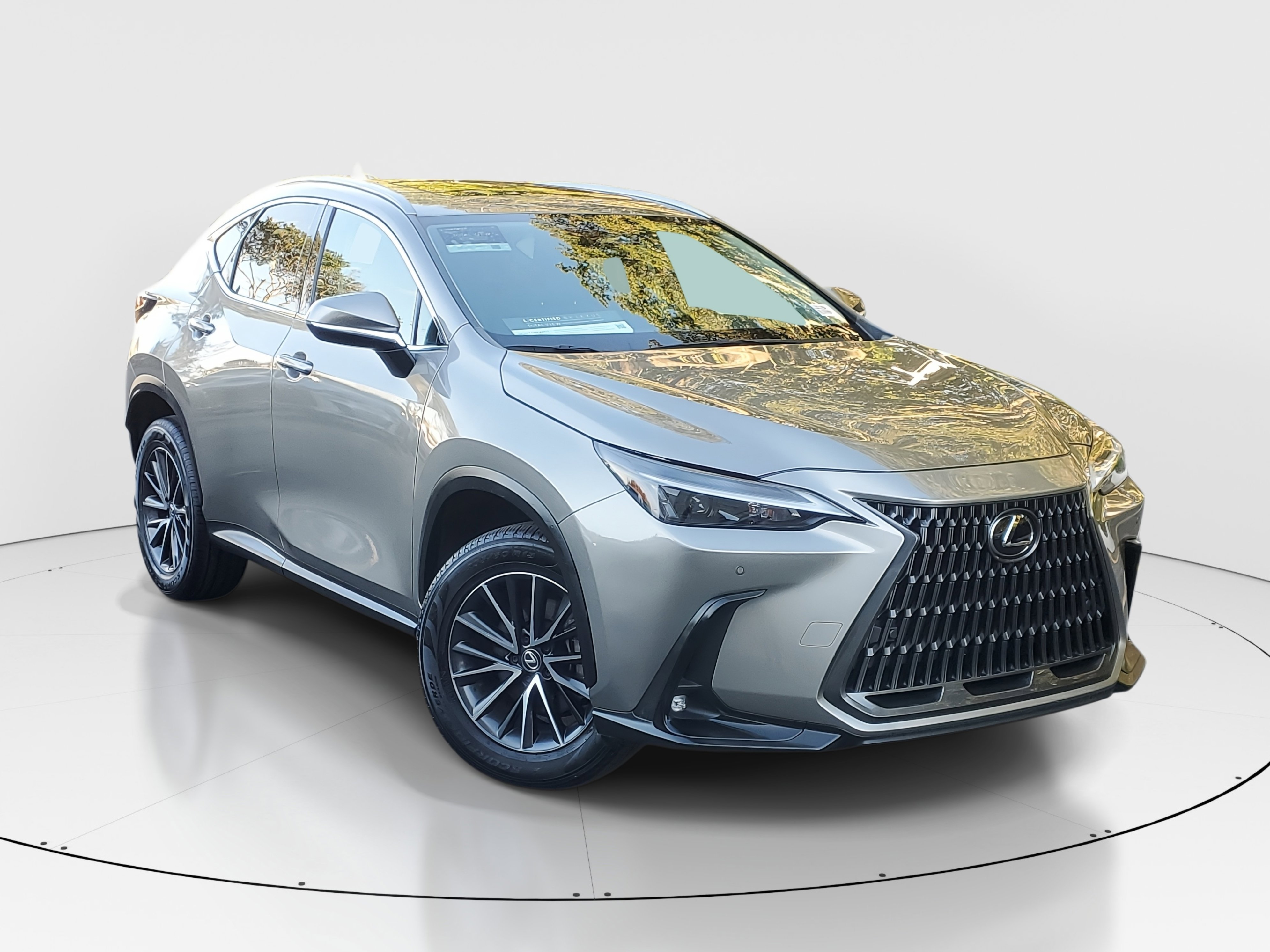 2024 Lexus NX 250 Premium photo 2
