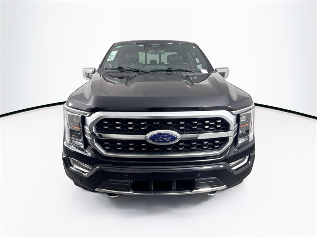 2023 Ford F-150 Platinum photo 2