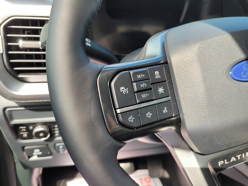 2025 Ford F-150 Platinum photo 22