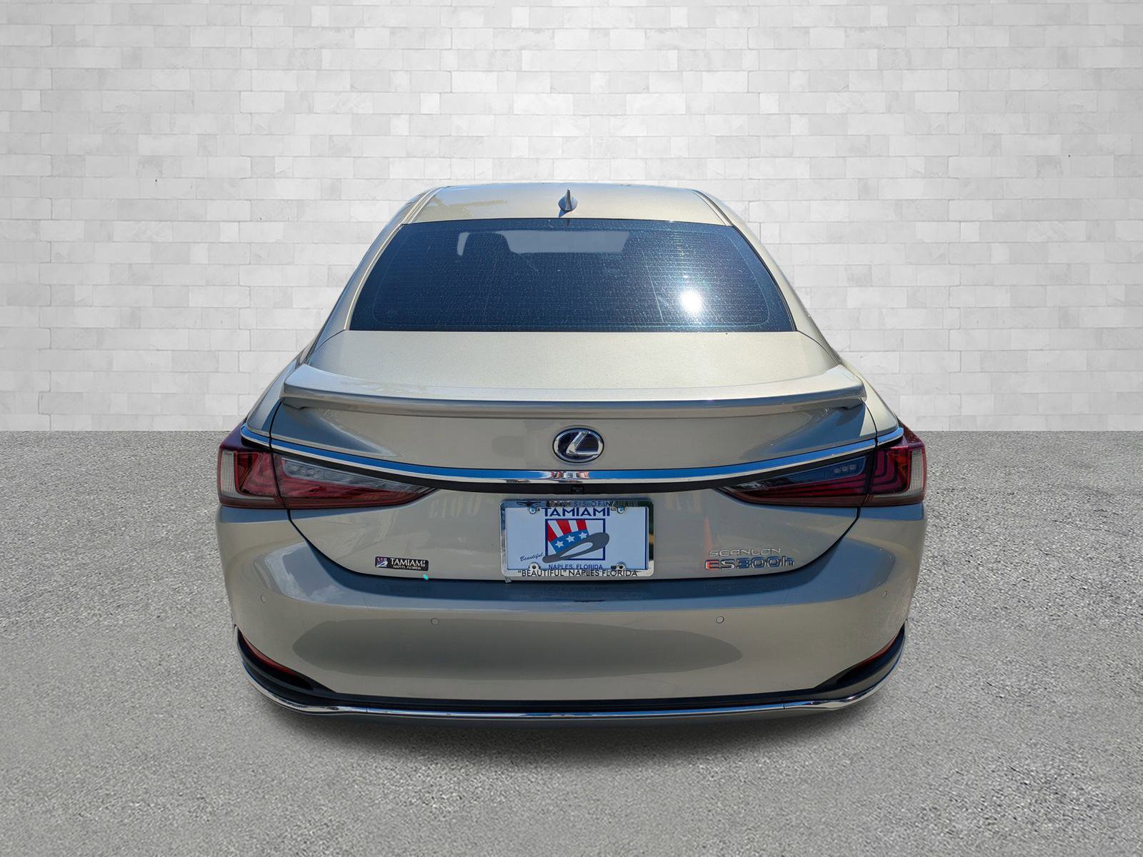 2021 Lexus ES 300h photo 3