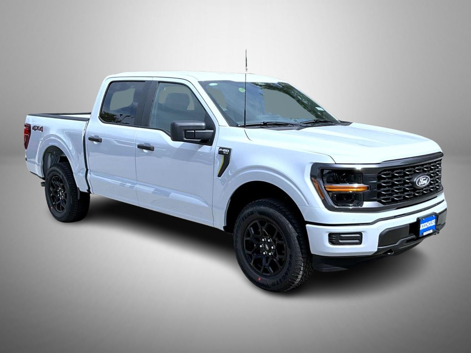 2025 Ford F-150 STX photo 3
