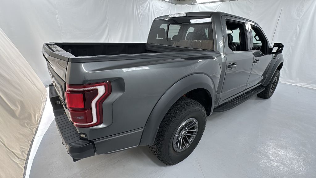 2019 Ford F-150 Raptor photo 2
