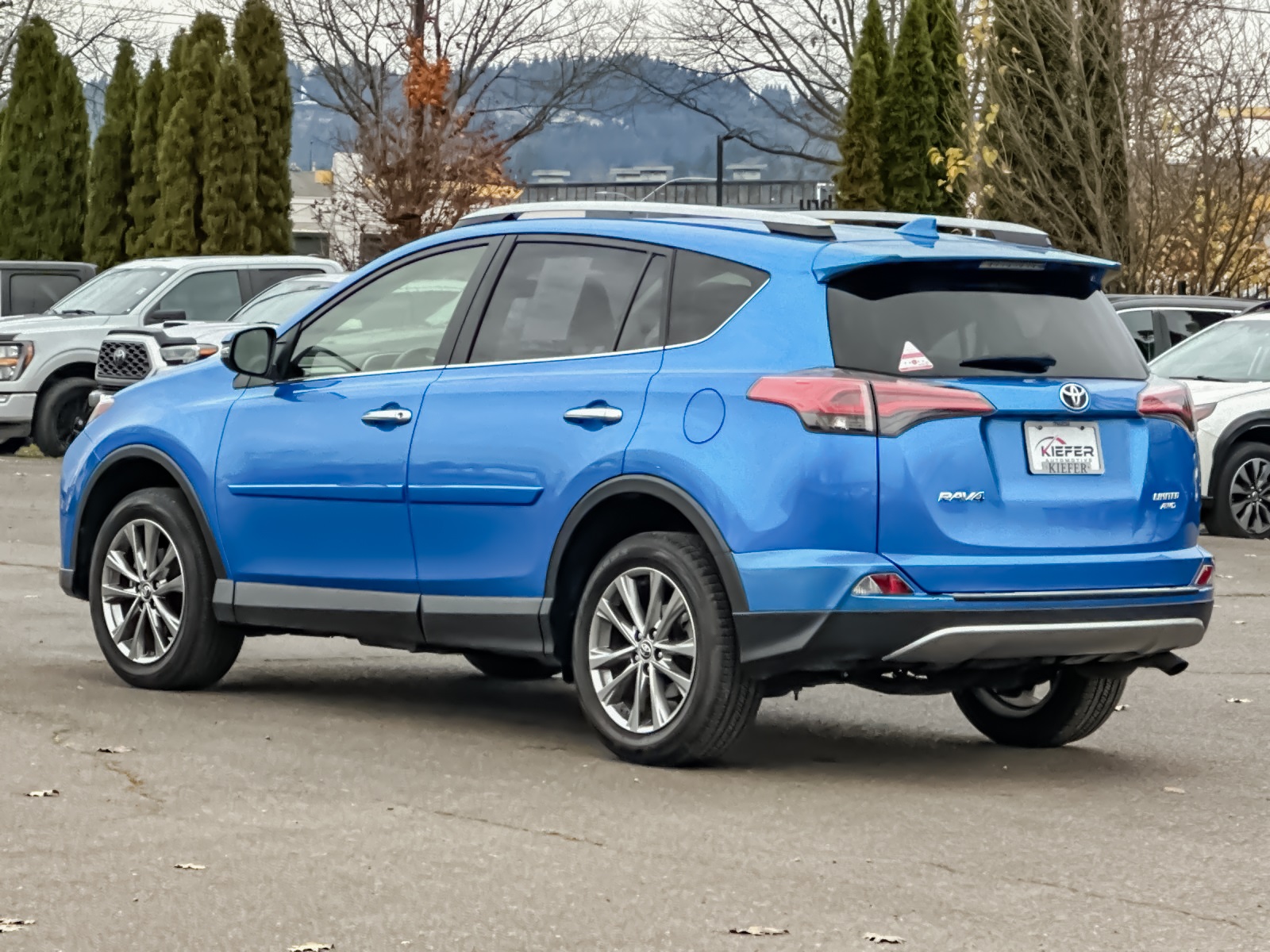 2018 Toyota RAV4 Limited Platinum photo 2