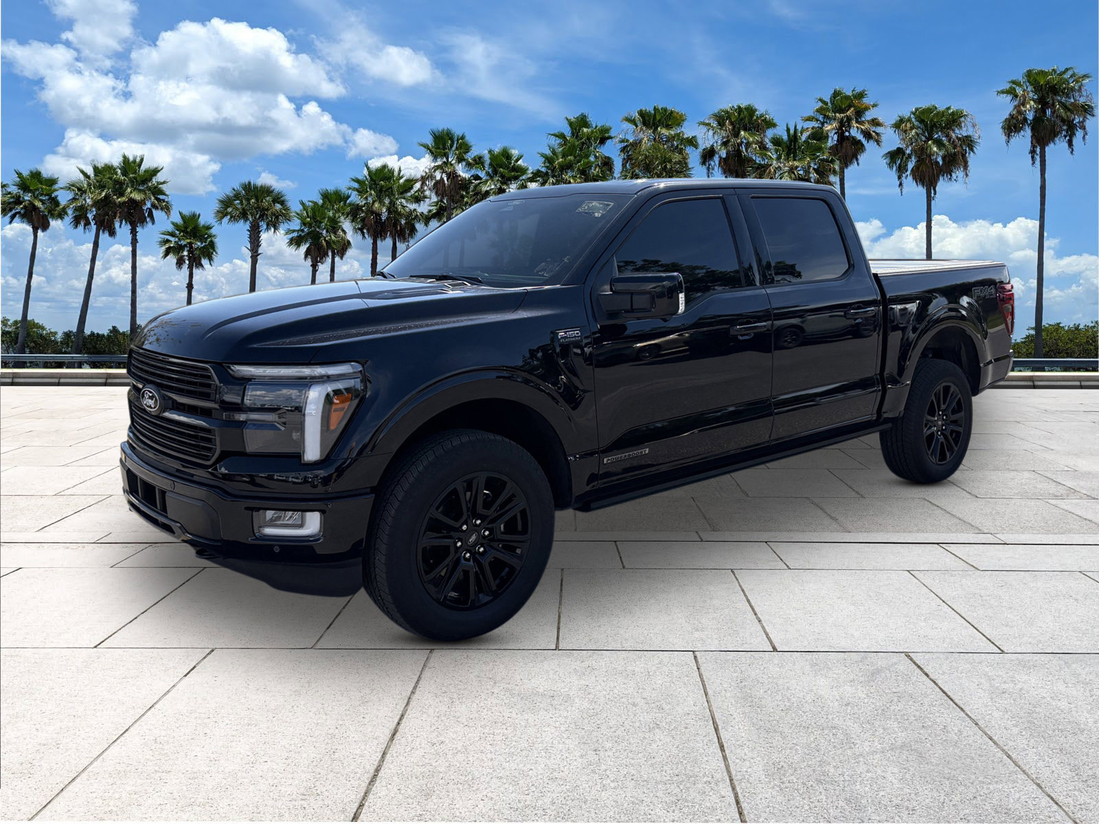2025 Ford F-150 Platinum photo 2
