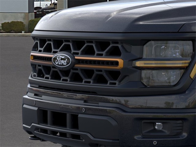 2025 Ford F-150 Tremor photo 13