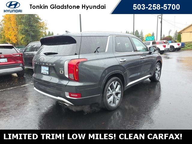 2021 Hyundai Palisade Limited photo 4