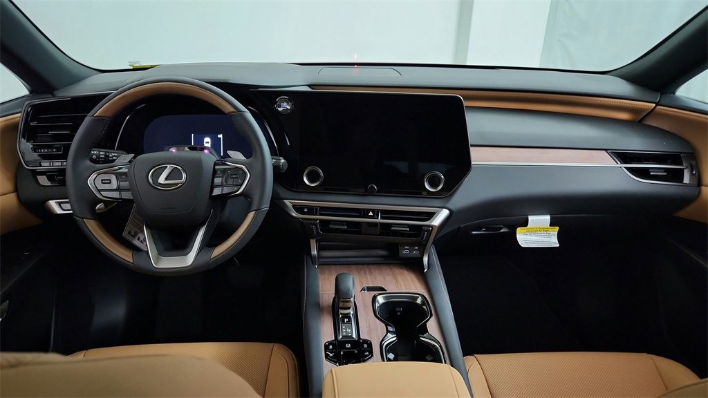 2025 Lexus RX 350 Premium photo 17