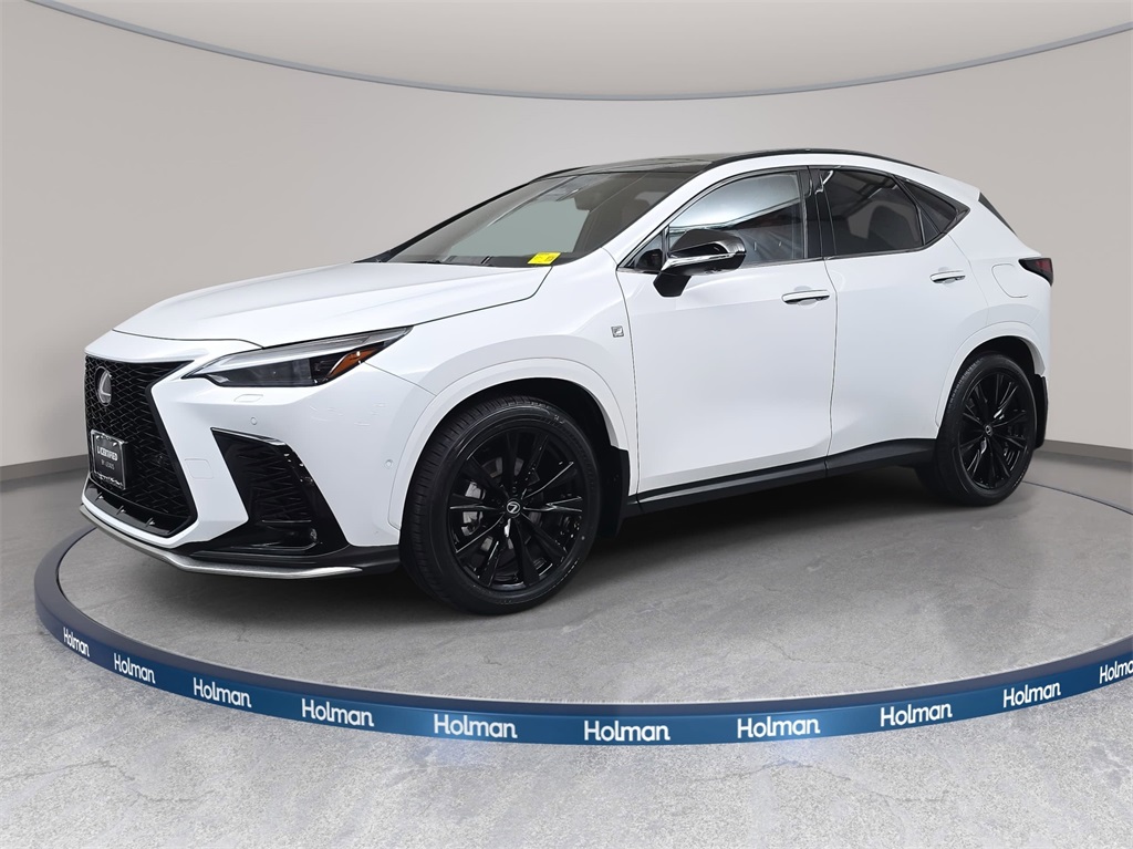 2025 Lexus NX PHEV 450h+'s photo