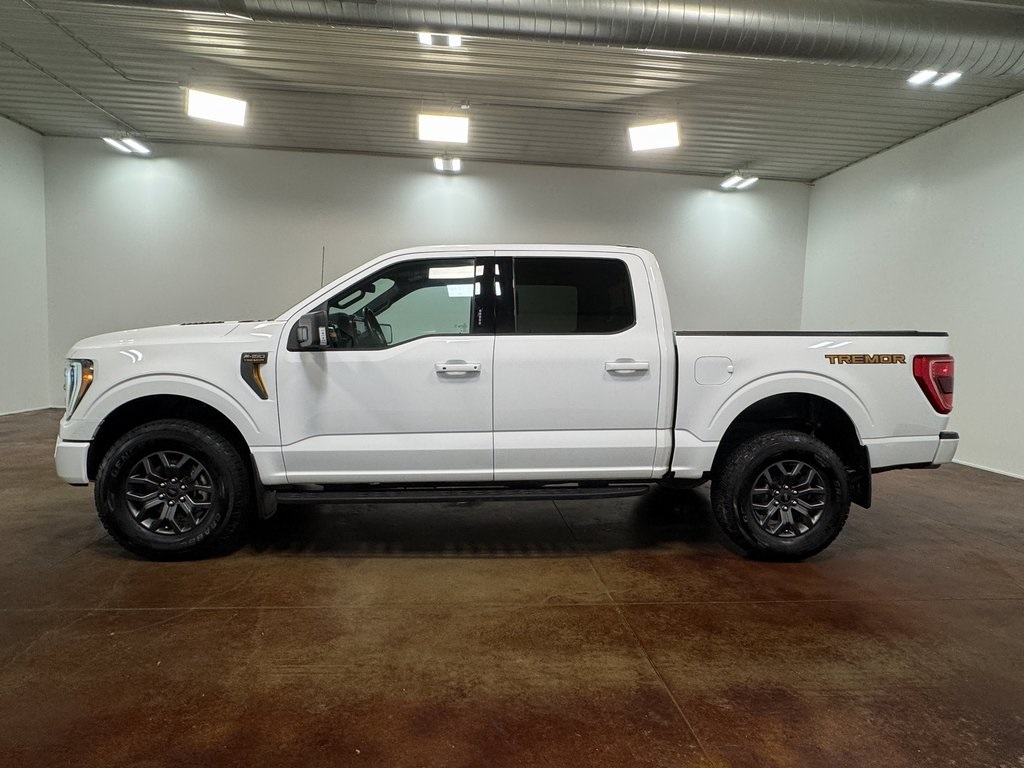 2023 Ford F-150 Tremor photo 3