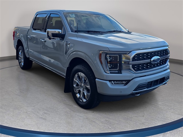 2023 Ford F-150 Platinum photo 3