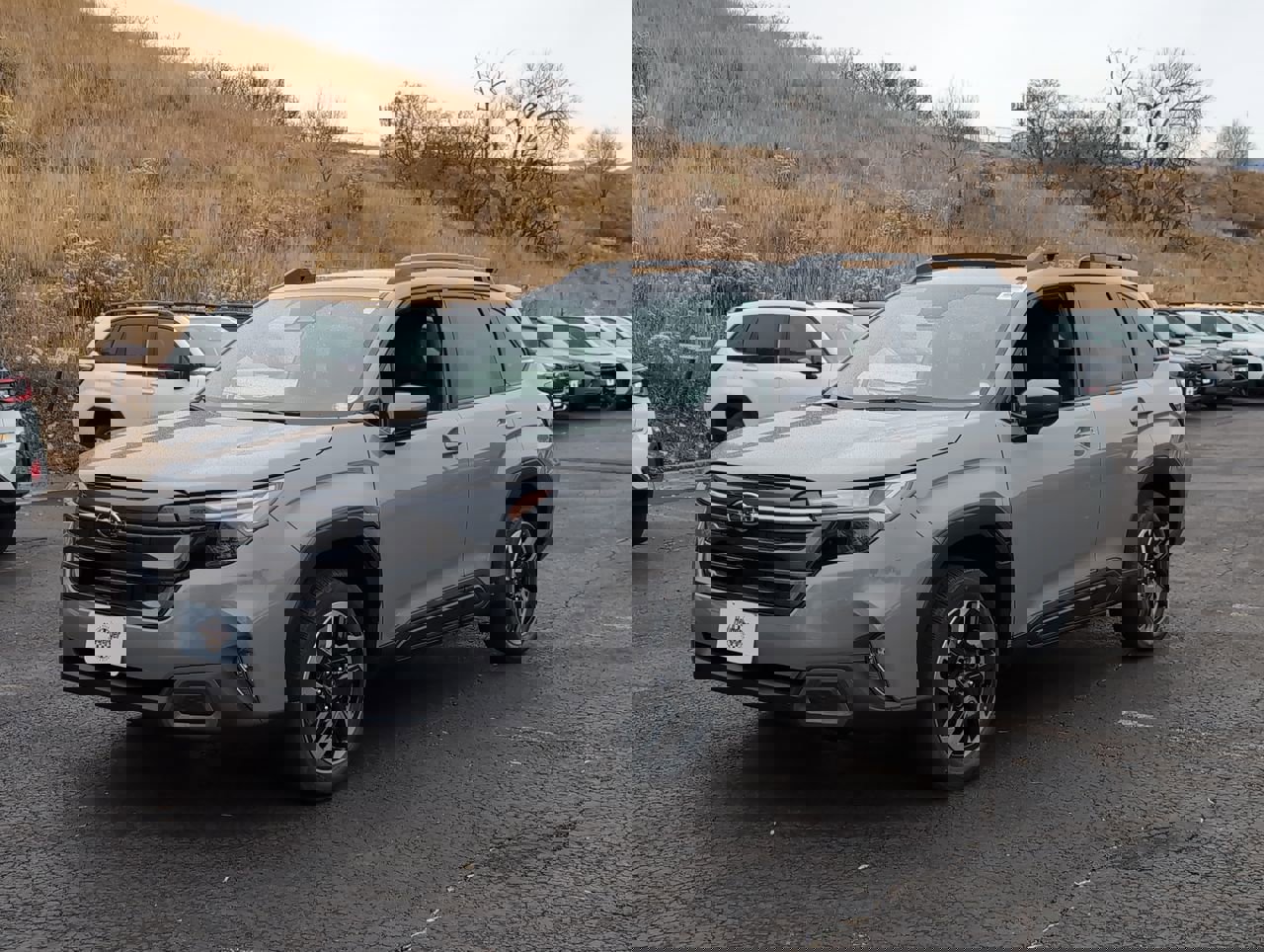 2025 Subaru Forester Limited photo 2