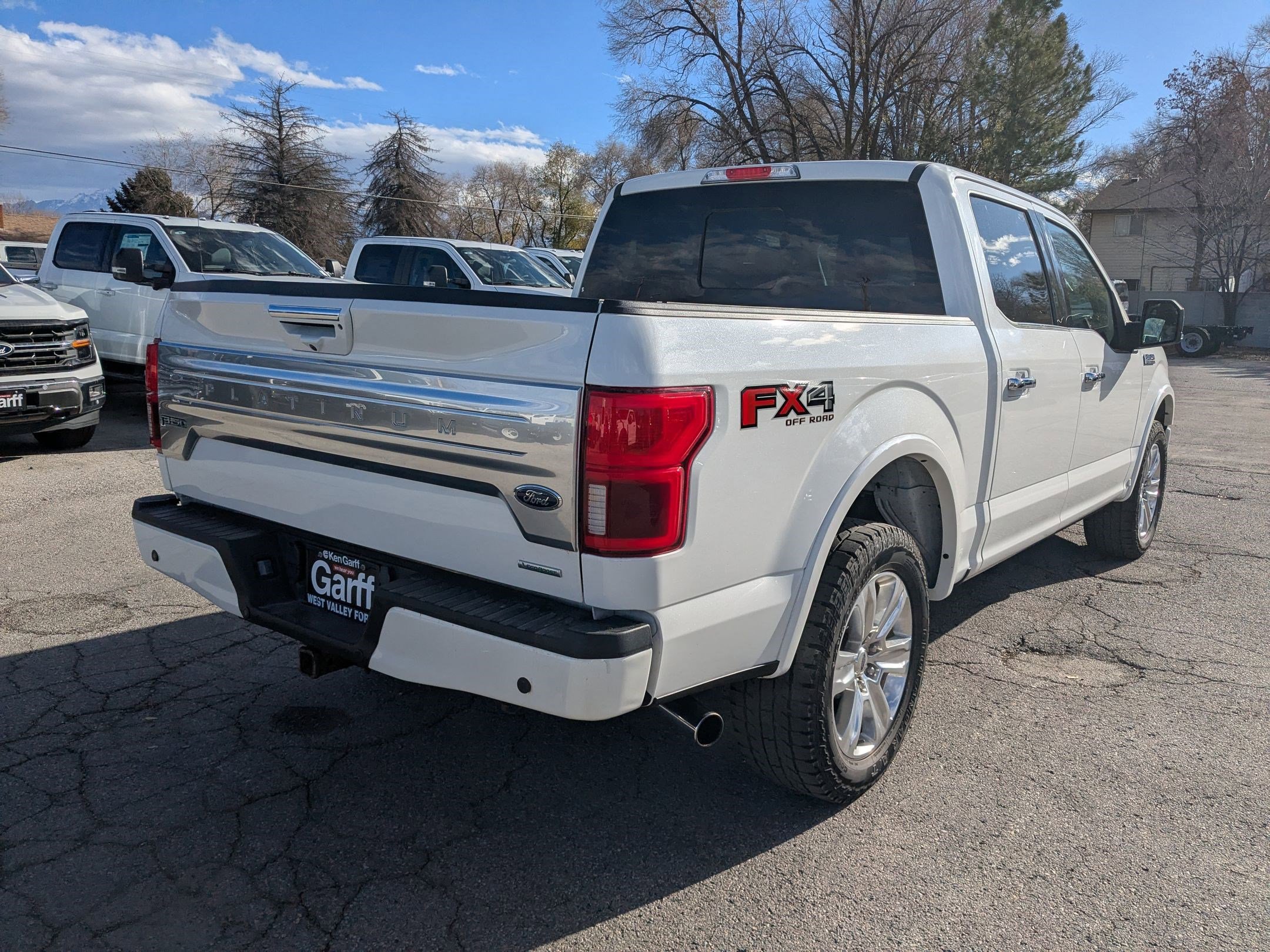 2020 Ford F-150 Platinum photo 3