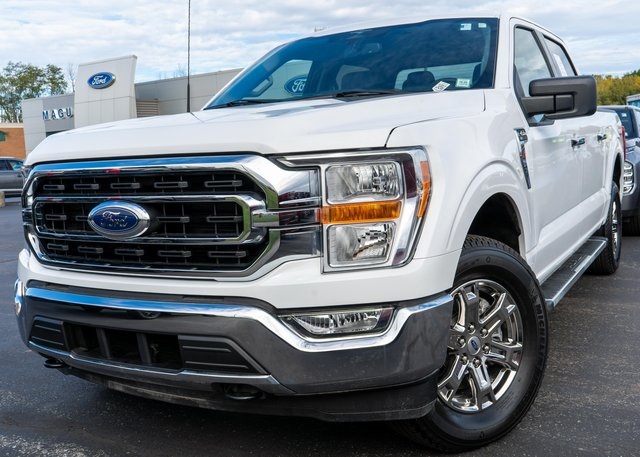 2023 Ford F-150 XLT's photo