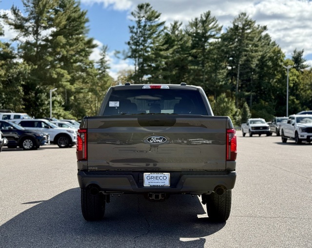 2025 Ford F-150 STX photo 5