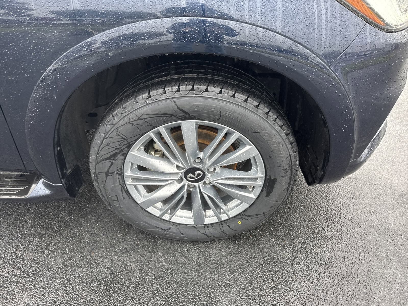 2024 Infiniti QX80 Luxe photo 10