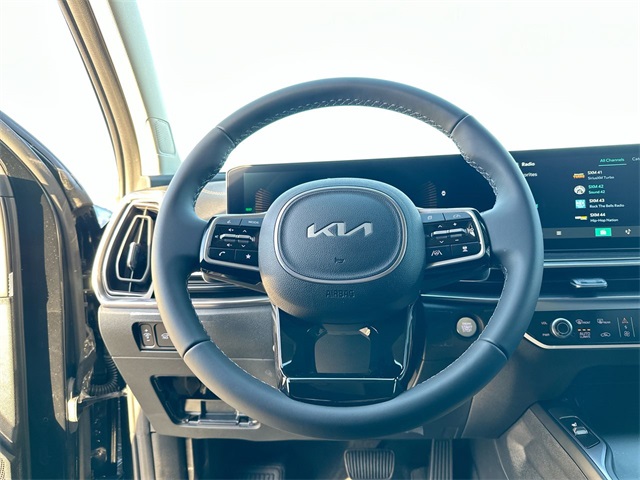 2025 Kia Sorento Hybrid EX photo 22