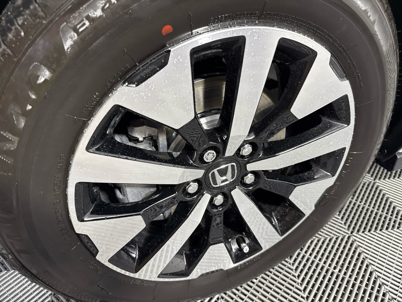 2025 Honda Odyssey EX-L photo 10