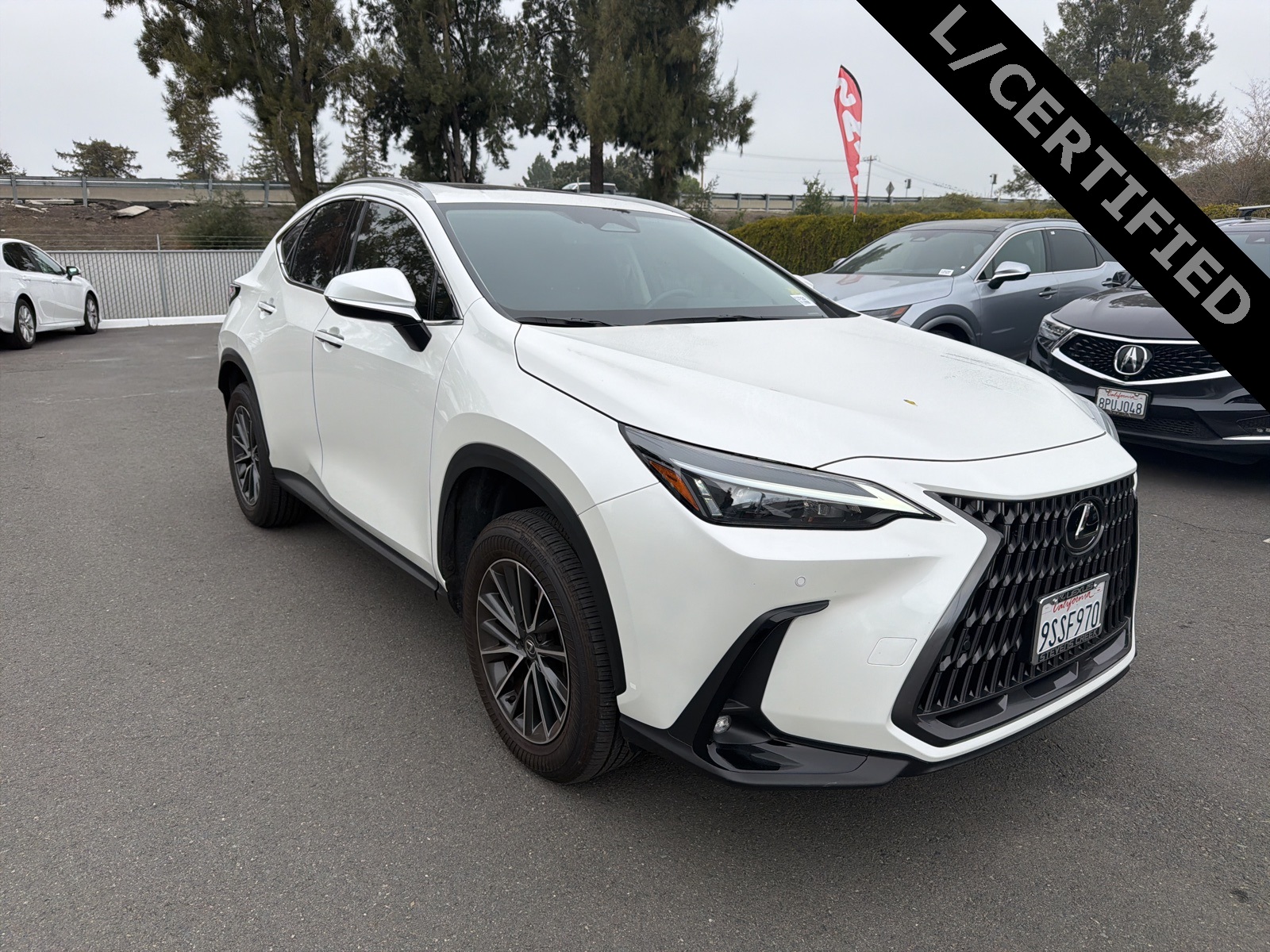 2025 Lexus NX 250's photo