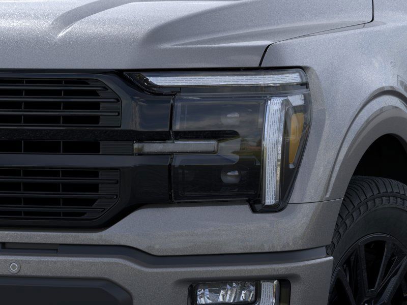 2025 Ford F-150 Platinum photo 17