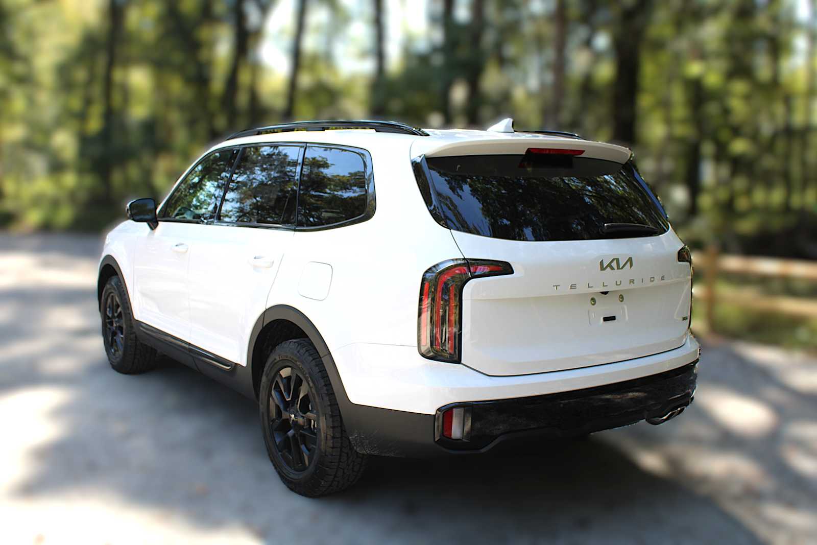 2025 Kia Telluride SX X-Line photo 6