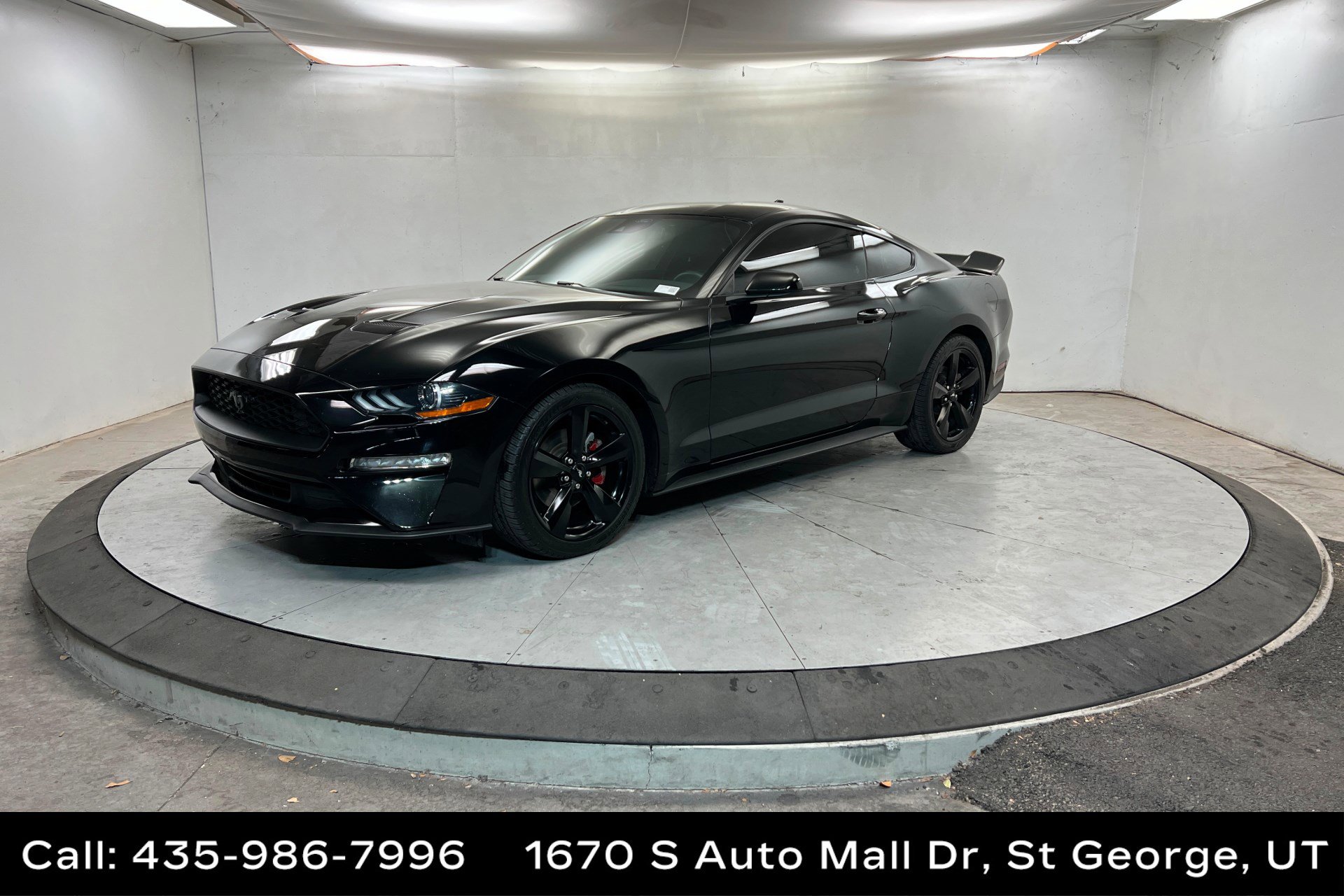 2022 Ford Mustang EcoBoost's photo