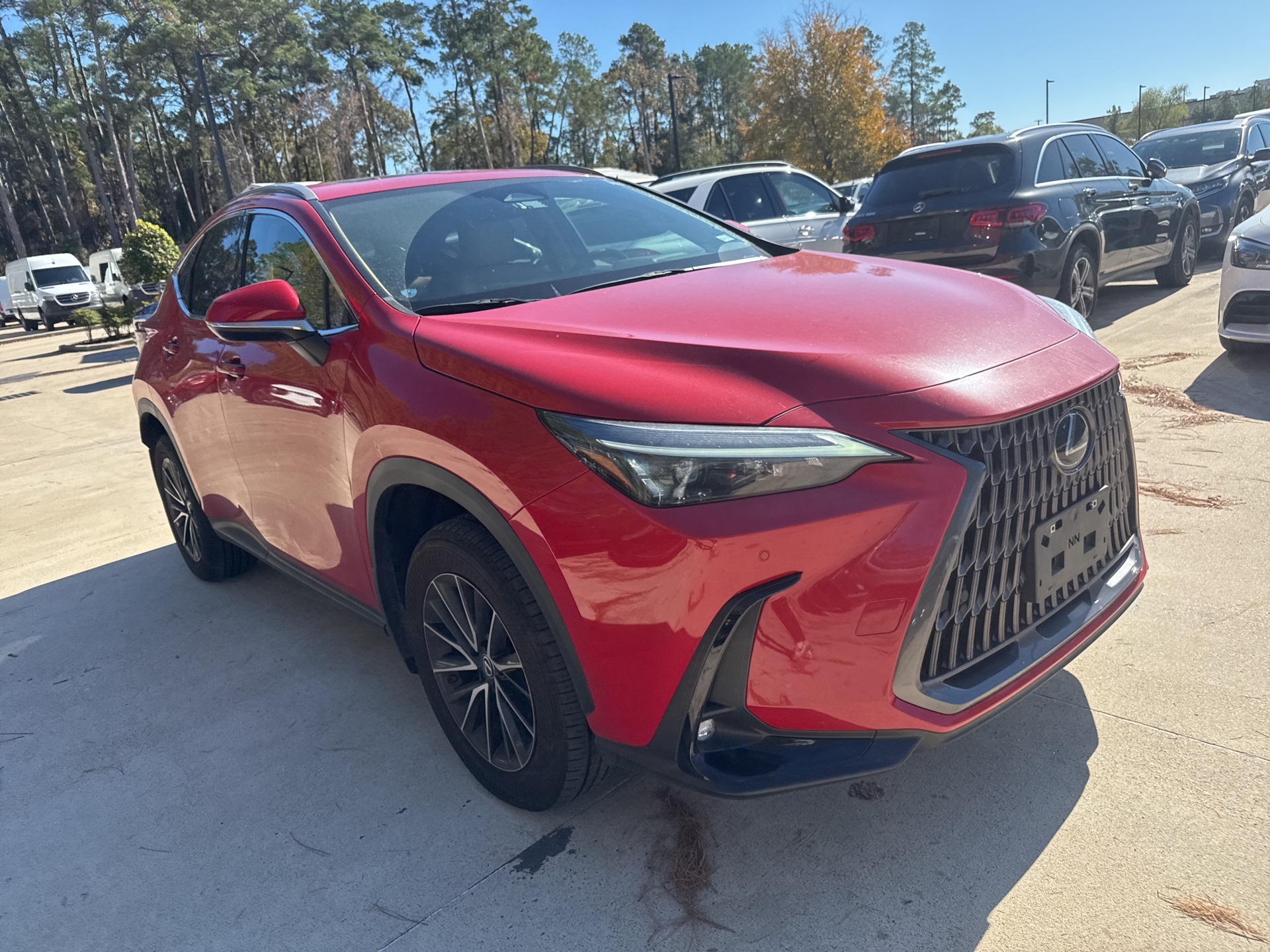 2024 Lexus NX 250's photo