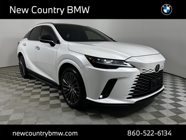 2024 Lexus RX 350's photo