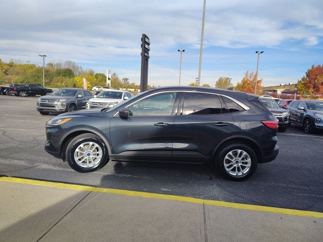 2022 Ford Escape SE photo 4