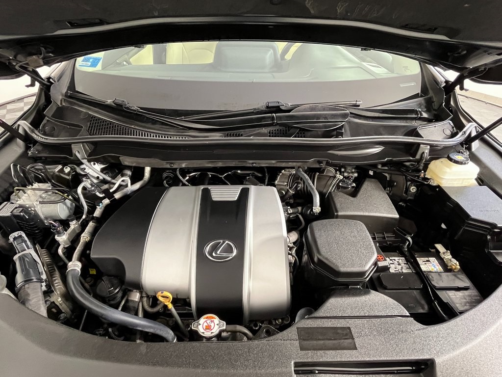 2021 Lexus RX 350 photo 8