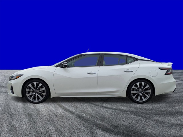 2023 Nissan Maxima Platinum photo 7