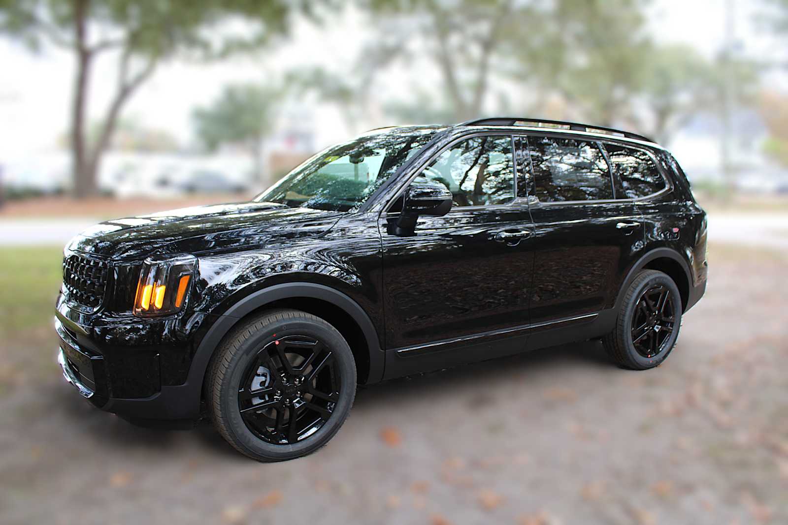 2025 Kia Telluride EX X-Line photo 15