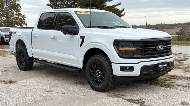 2025 Ford F-150 XLT's photo