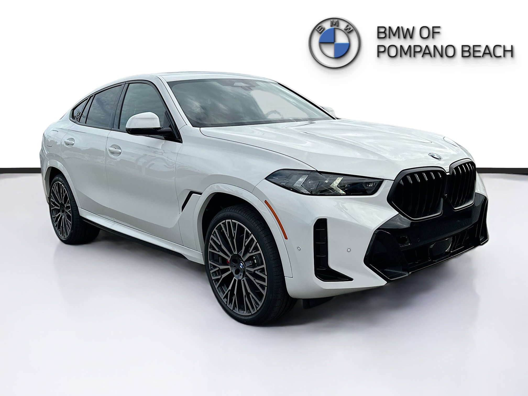 2026 BMW X6