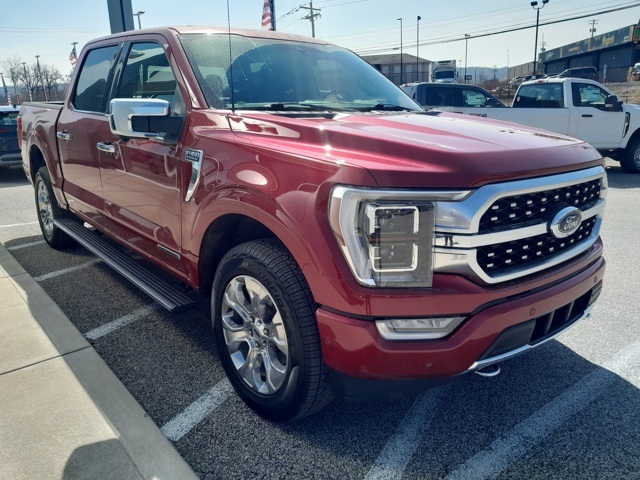 2021 Ford F-150 Platinum photo 3