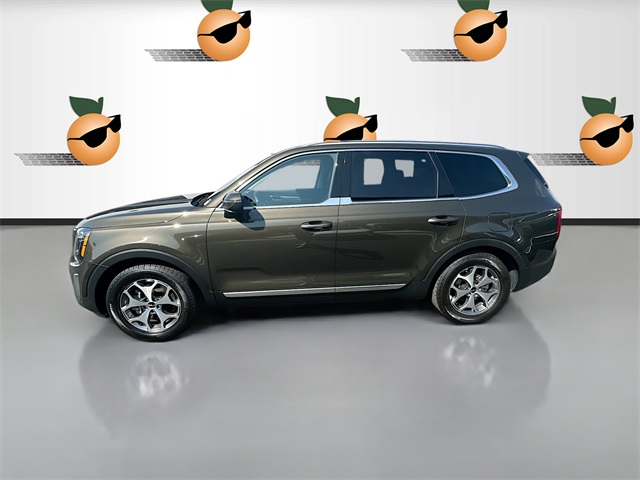 2022 Kia Telluride EX photo 2