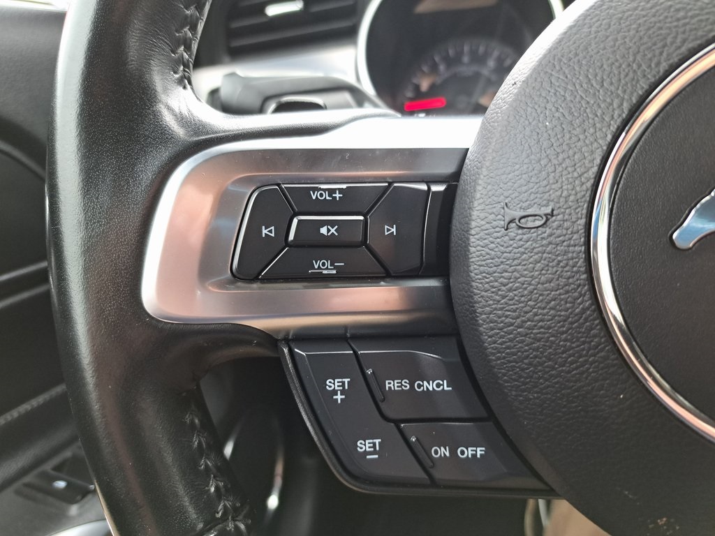 2020 Ford Mustang EcoBoost Premium photo 18