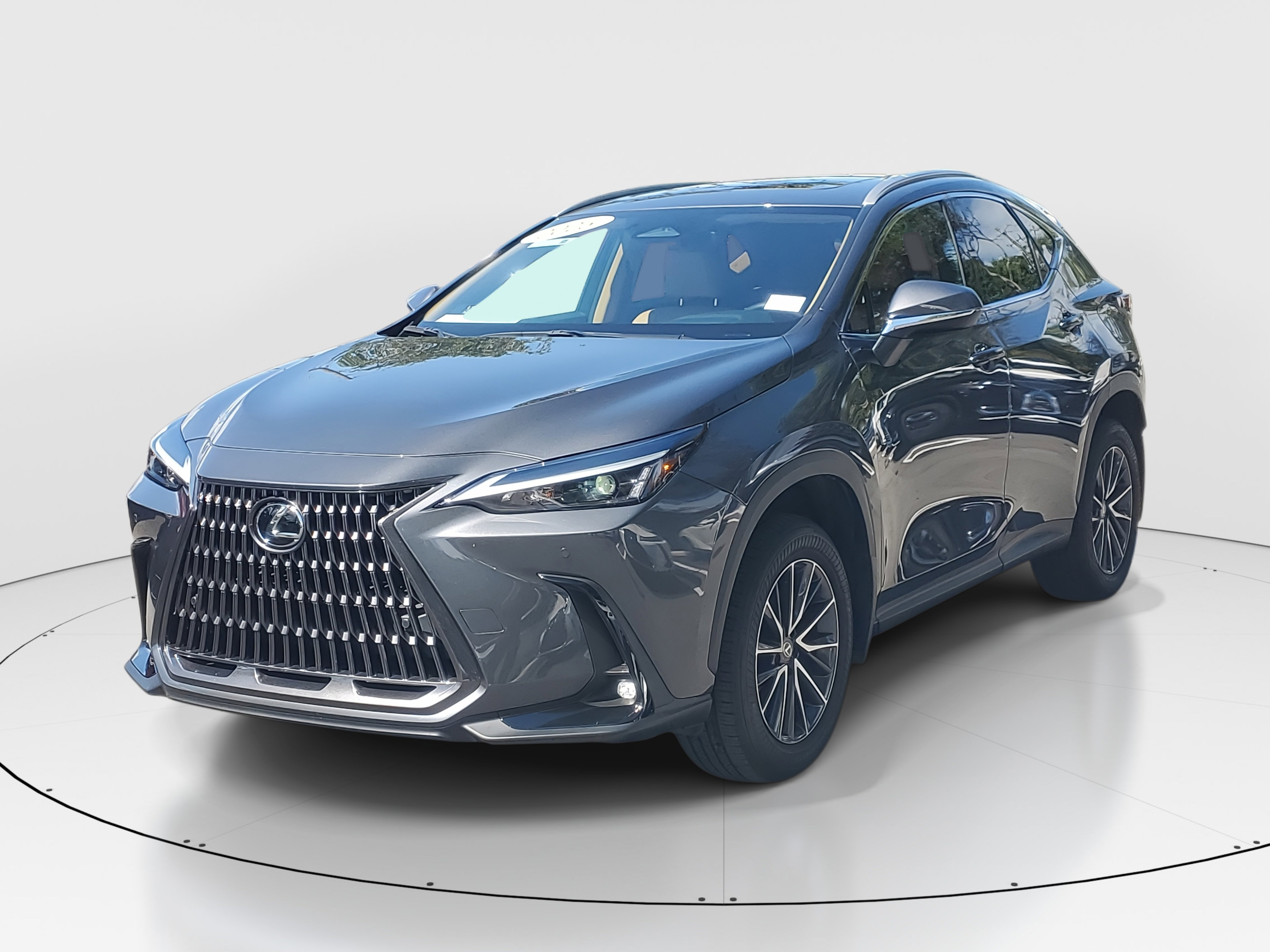 2025 Lexus NX 250 photo 4