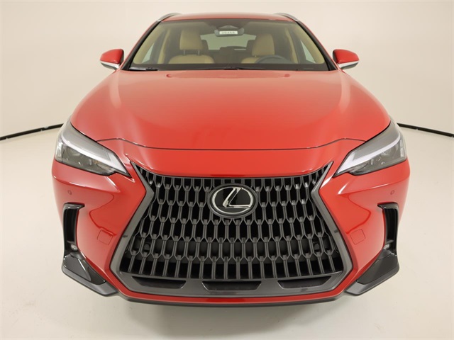 2025 Lexus NX 250 photo 7