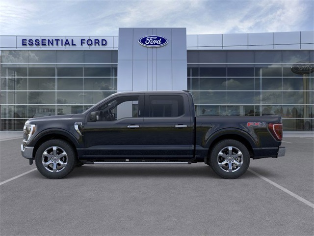 2023 Ford F-150 XLT photo 3