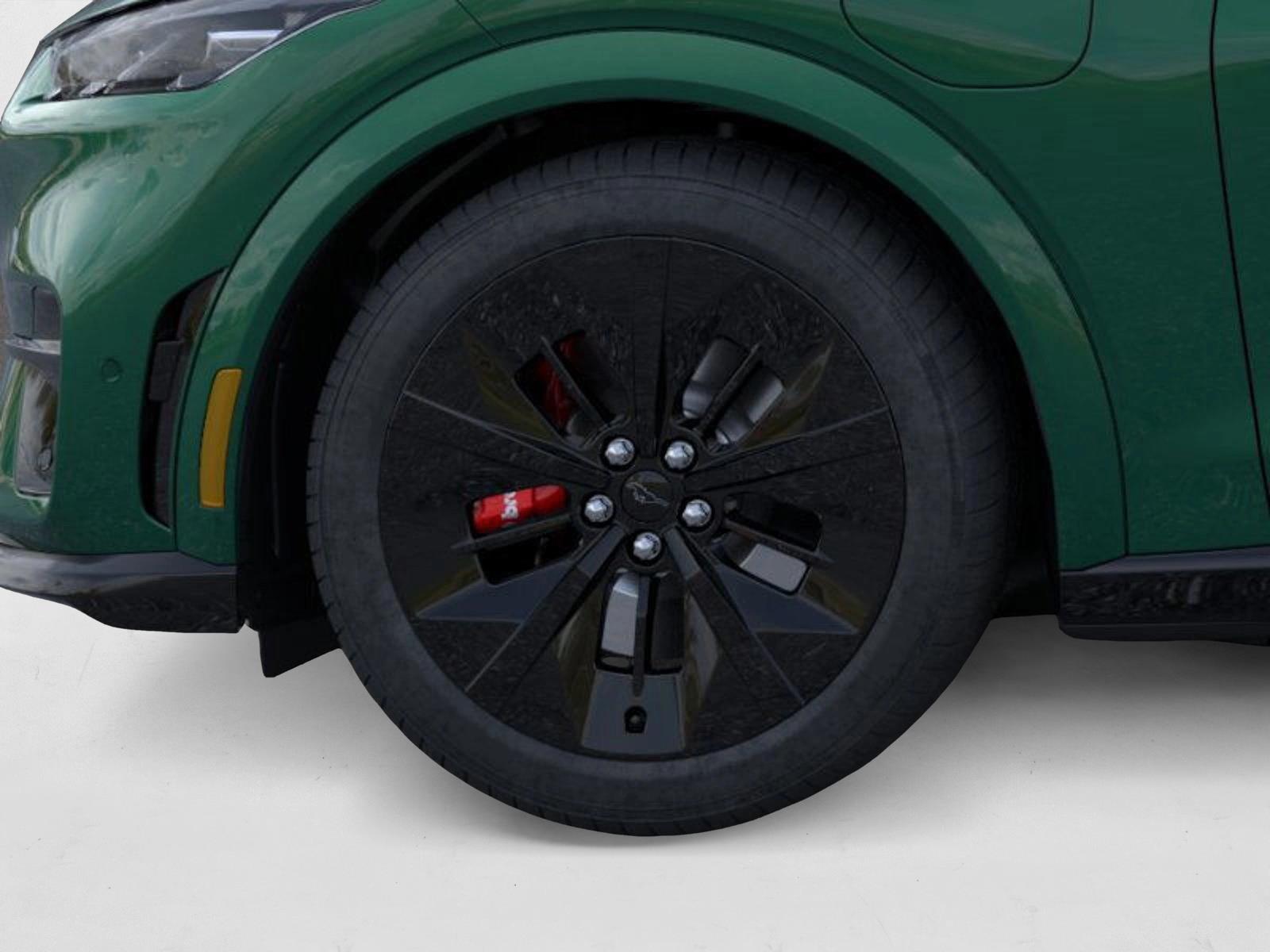 2025 Ford Mustang Mach-E GT photo 16