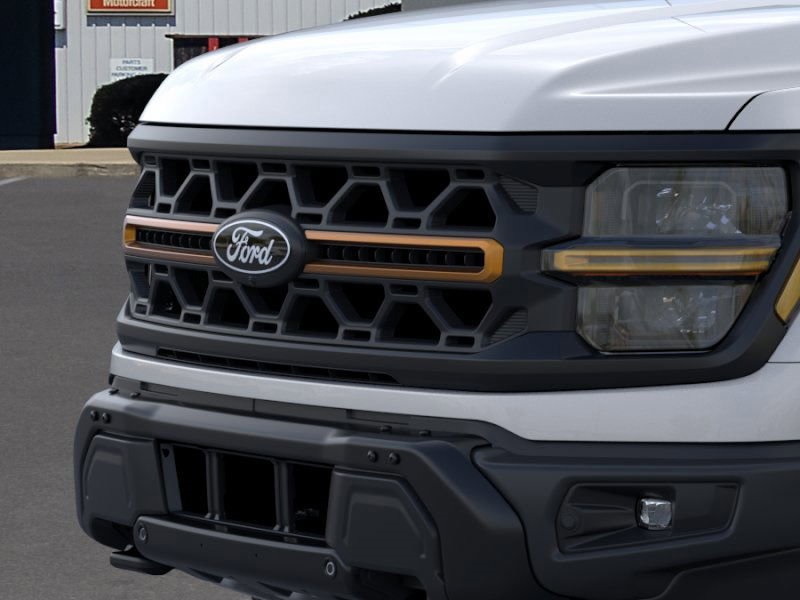 2025 Ford F-150 Tremor photo 16