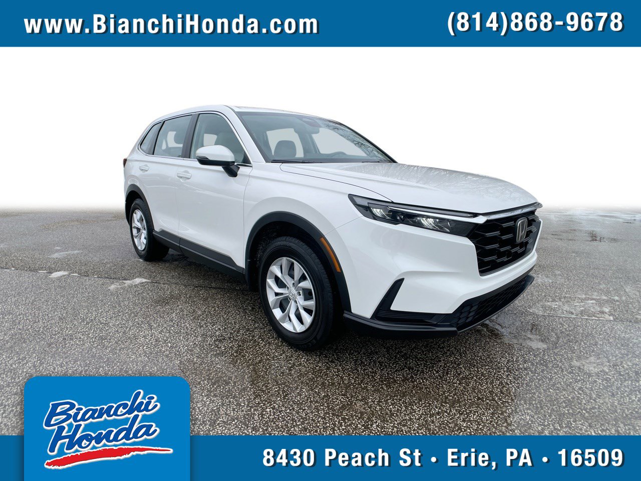 2024 Honda CR-V LX's photo