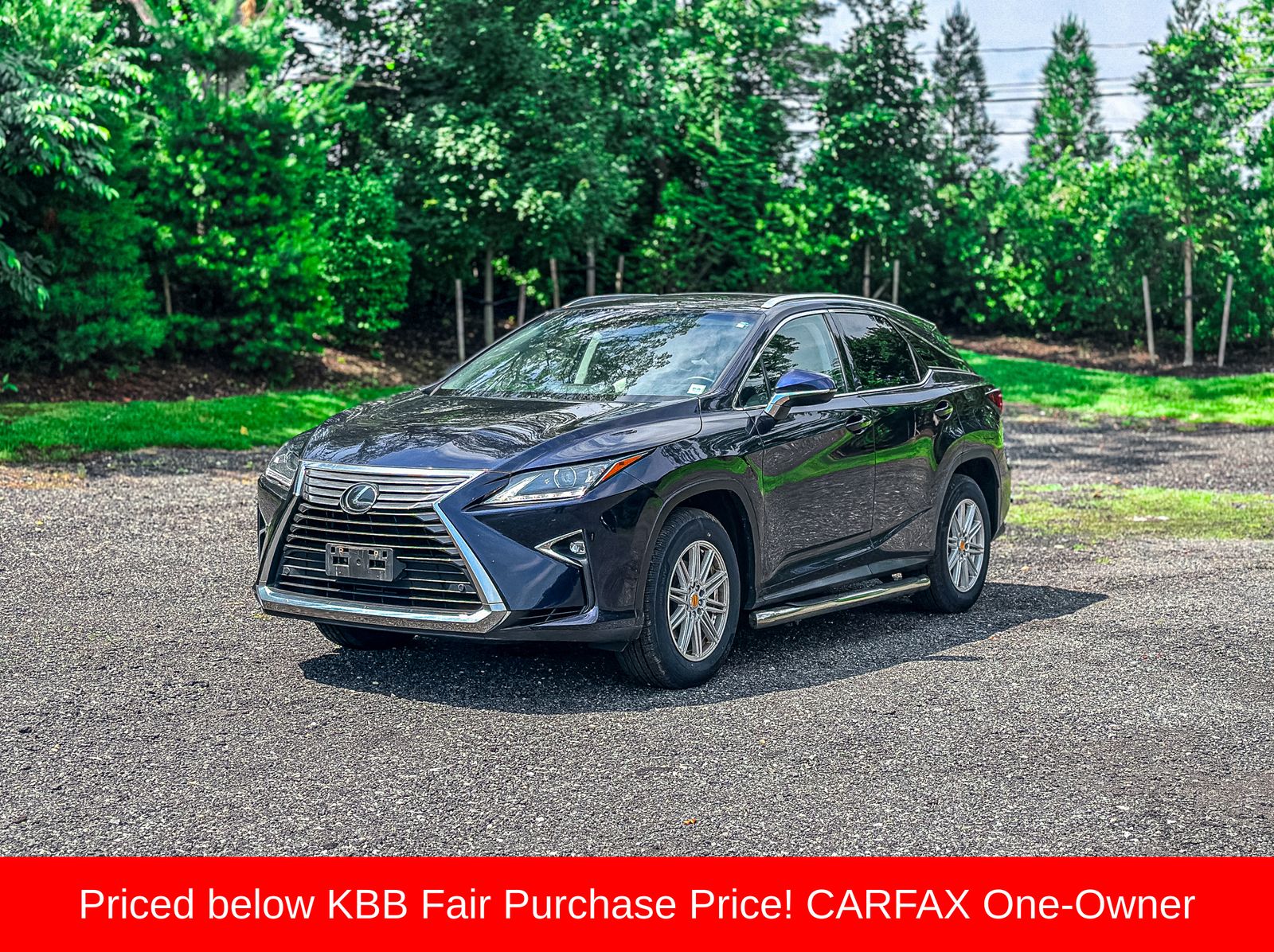 2019 Lexus RX 350's photo