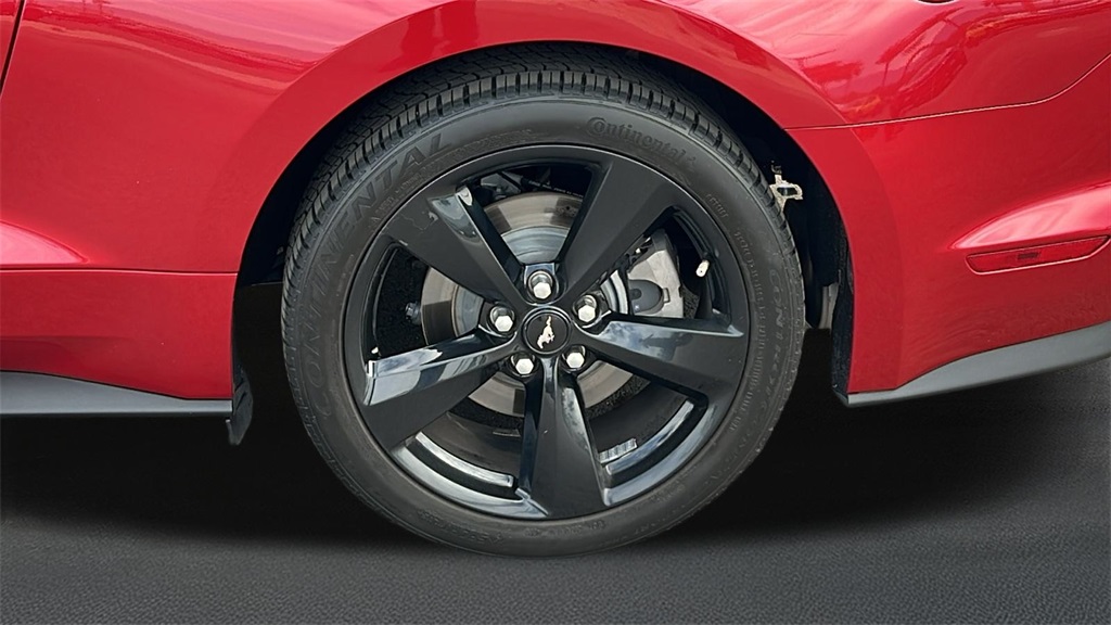 2023 Ford Mustang EcoBoost photo 5