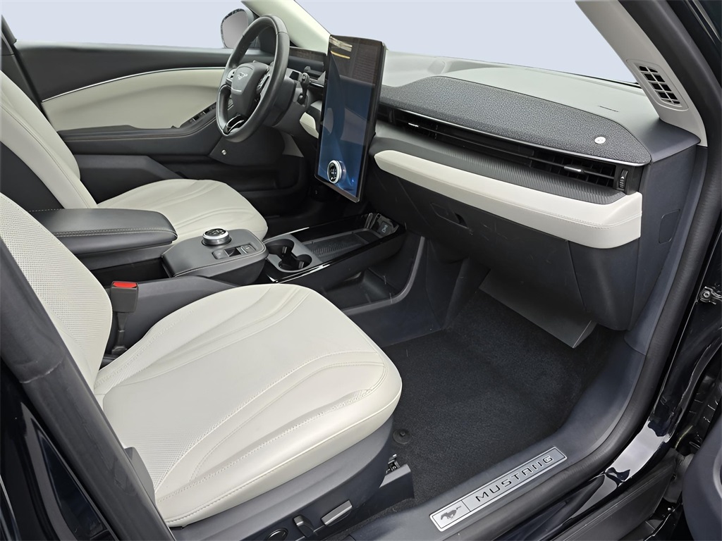 2021 Ford Mustang Mach-E Premium photo 5