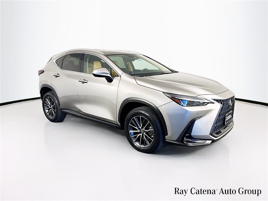 2023 Lexus NX 350's photo