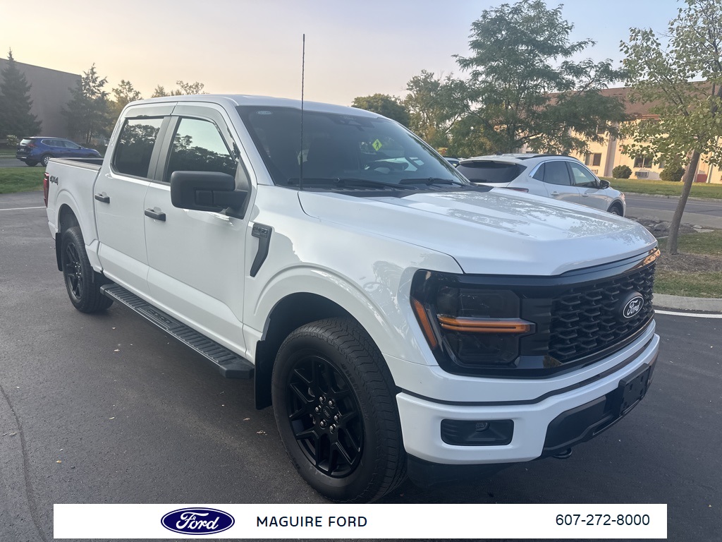 2025 Ford F-150 STX photo 2