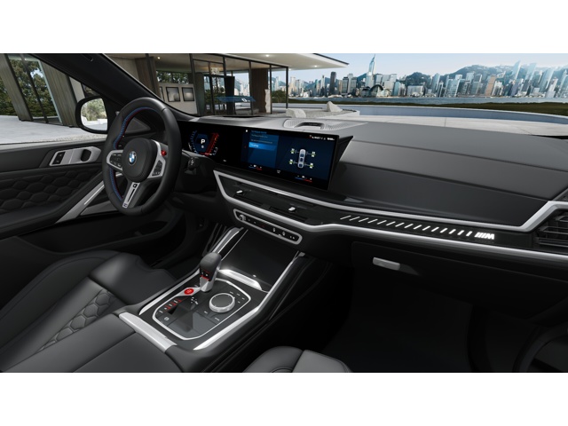 2025 Bmw X6 M50i photo 14
